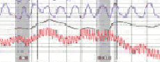 discount polygraph in Los Angeles